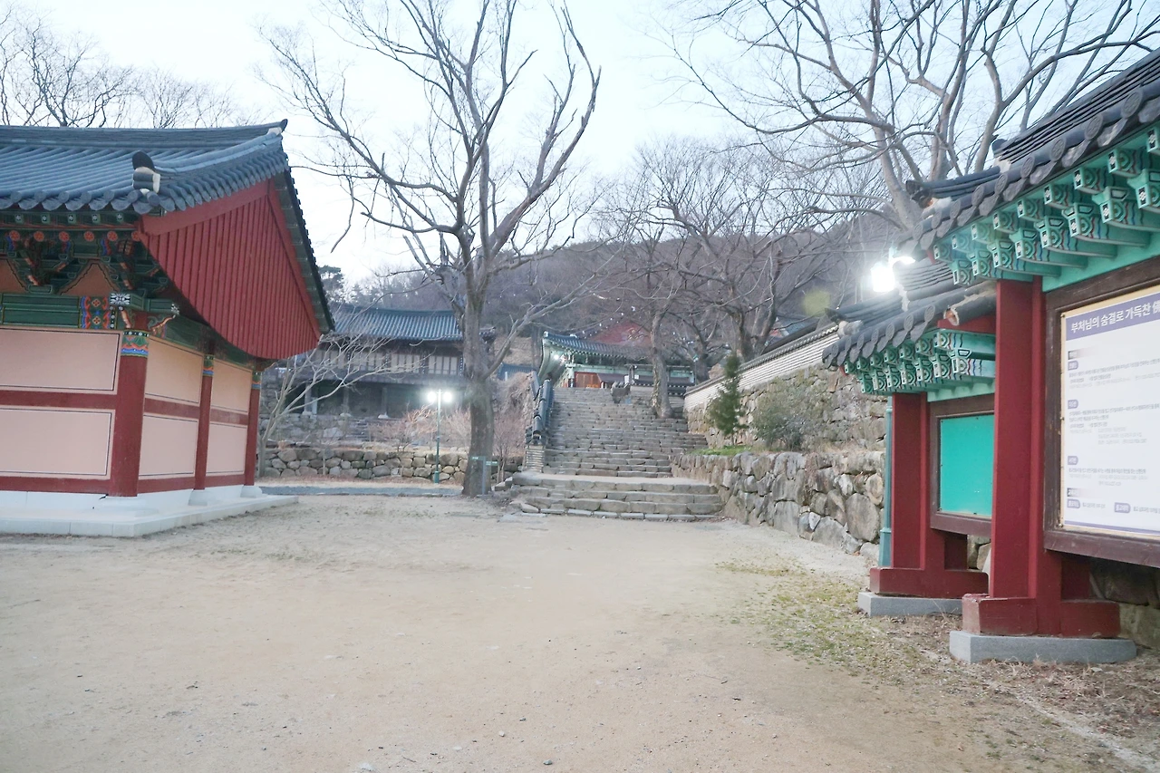 0R5A2086_новый размер_exposure.JPG