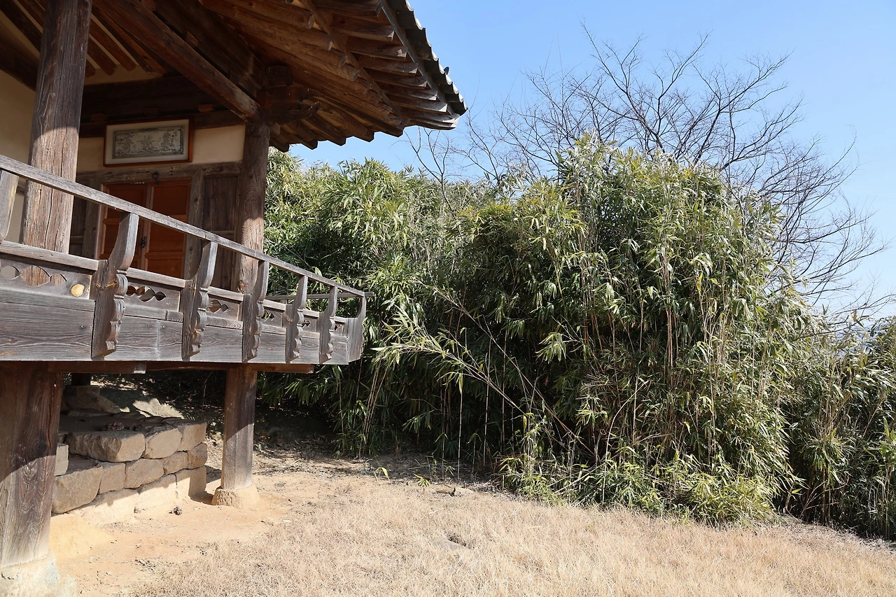 0R5A9203_новый размер.JPG