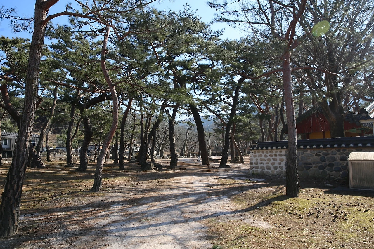 MG0A8070_новый размер.JPG