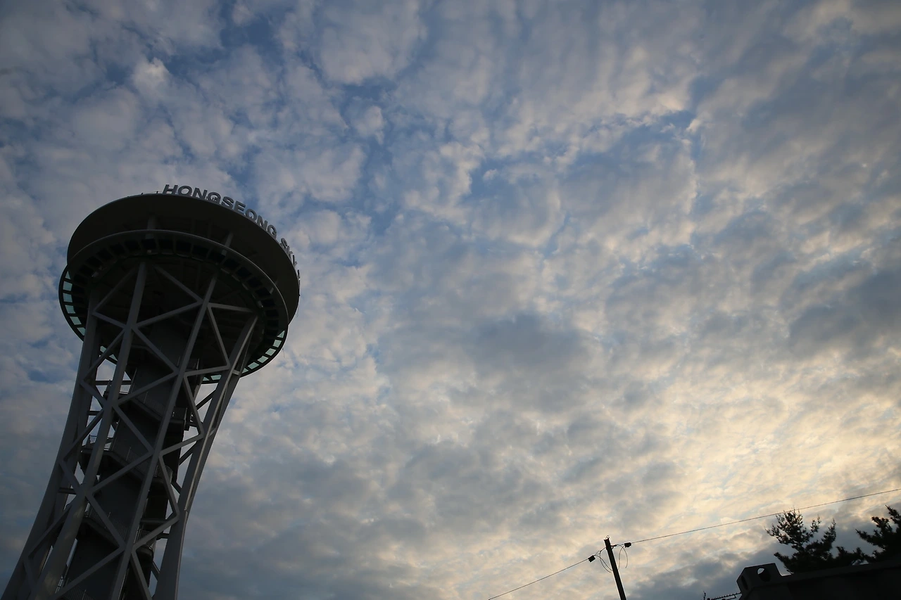 MG0A2040_новый размер.JPG