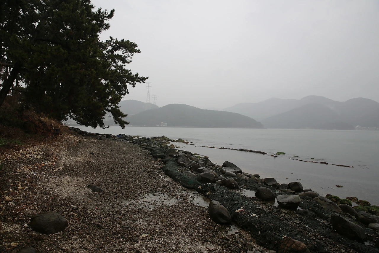 MG0A6381_новый размер.JPG