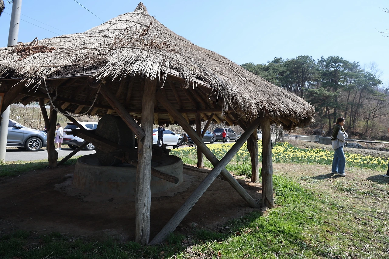 0R5A5947_новый размер.JPG