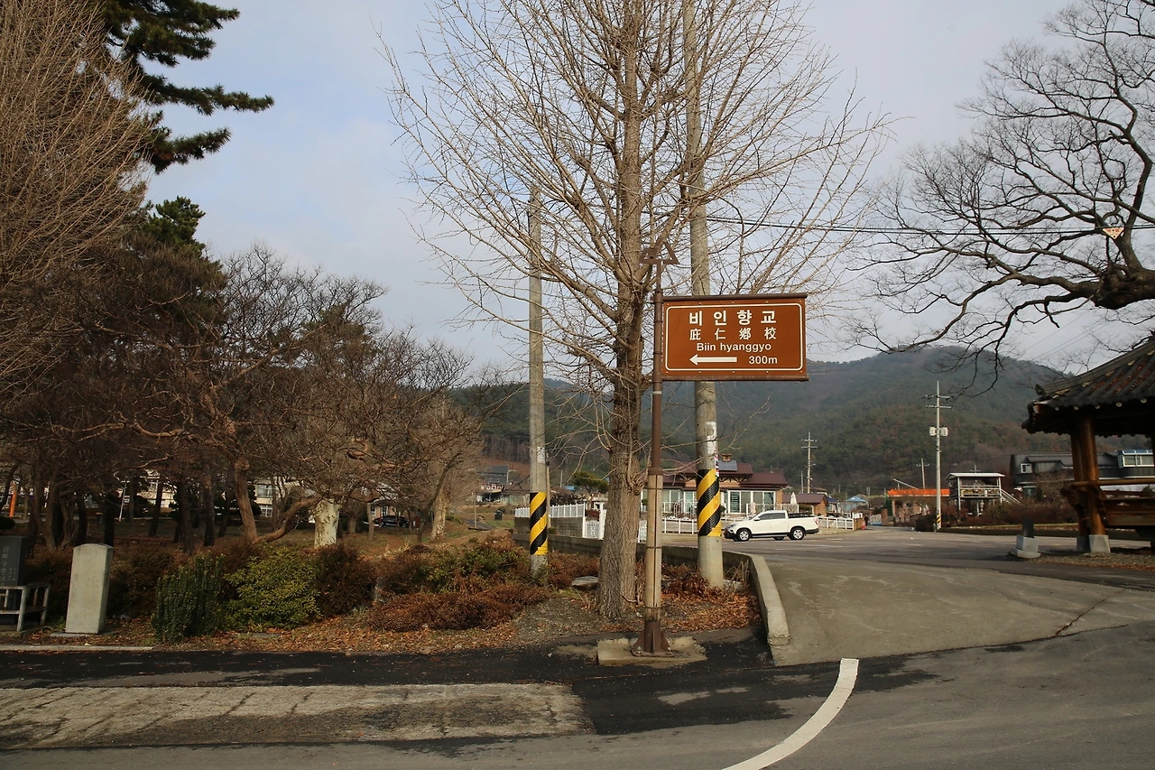 MG0A6846_новый размер.JPG