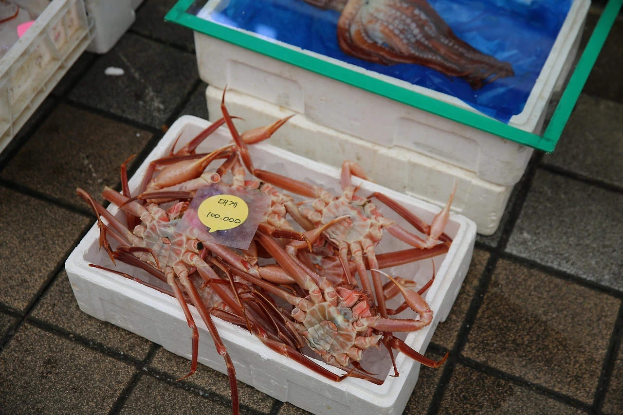 MG0A6474_новый размер.JPG