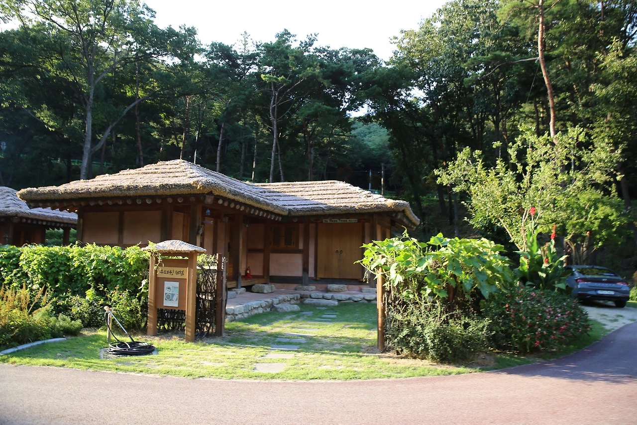 MG0A9140_новый размер.JPG