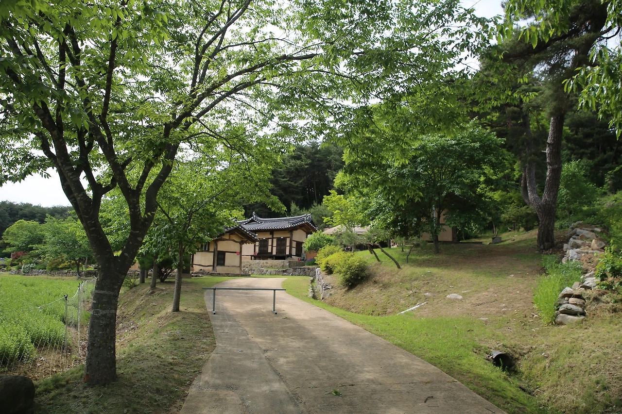 MG0A9637_новый размер.JPG