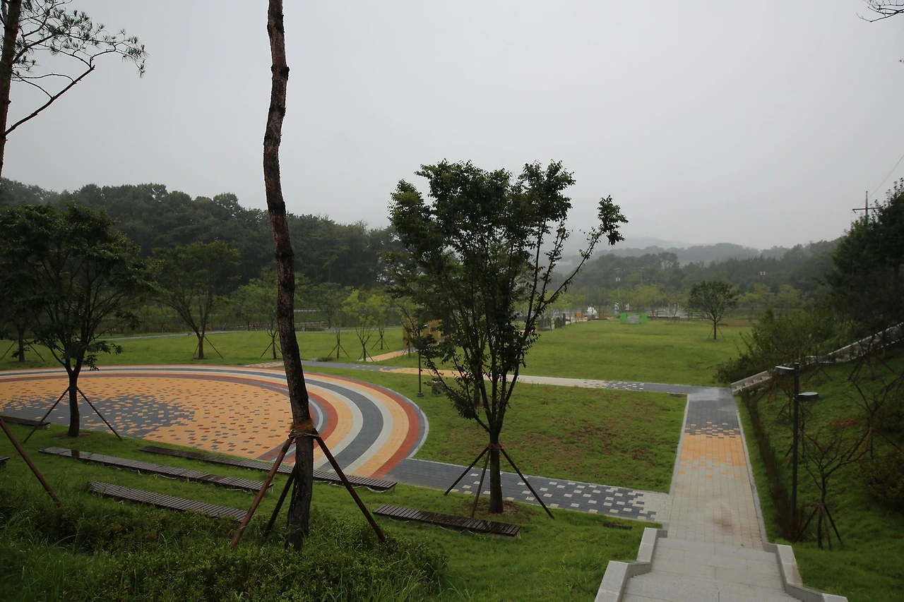 MG0A1742_новый размер.JPG