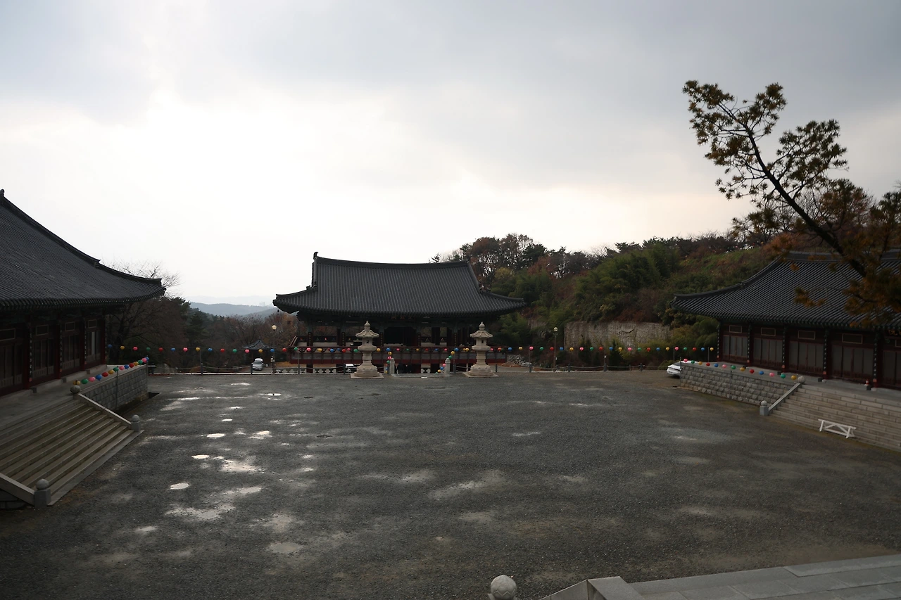 0R5A3833_новый размер.JPG