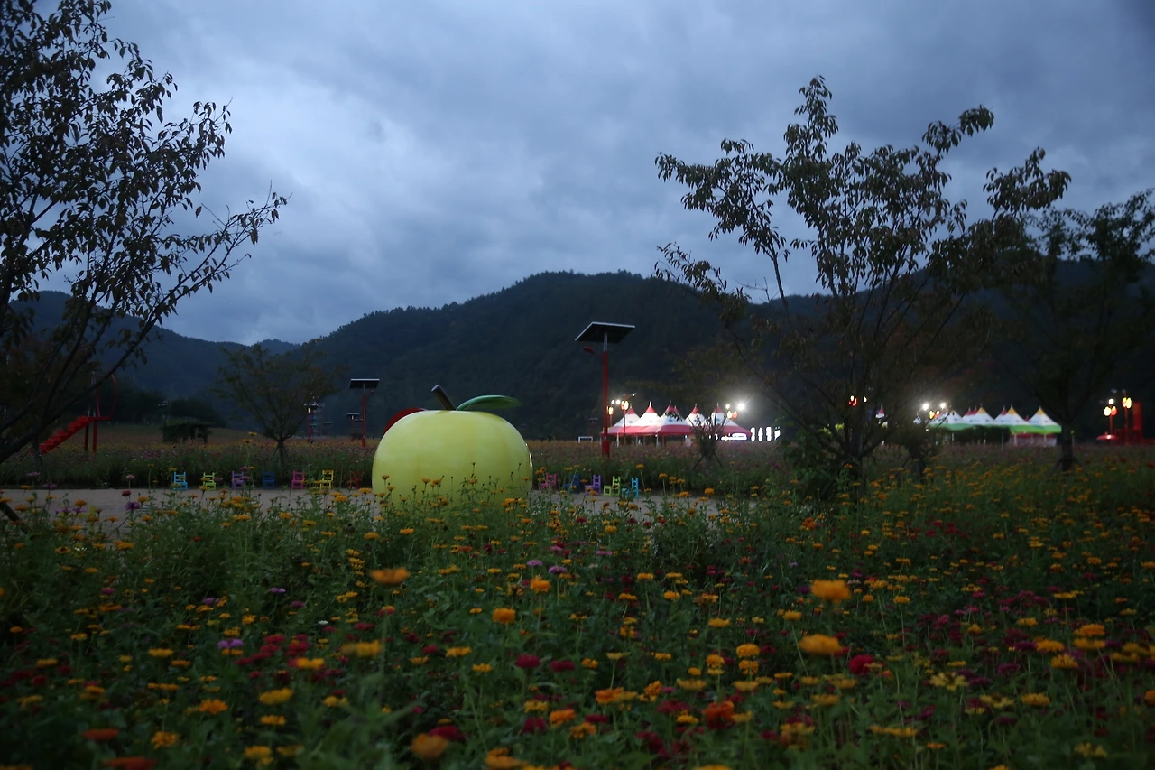 MG0A5793_новый размер.JPG