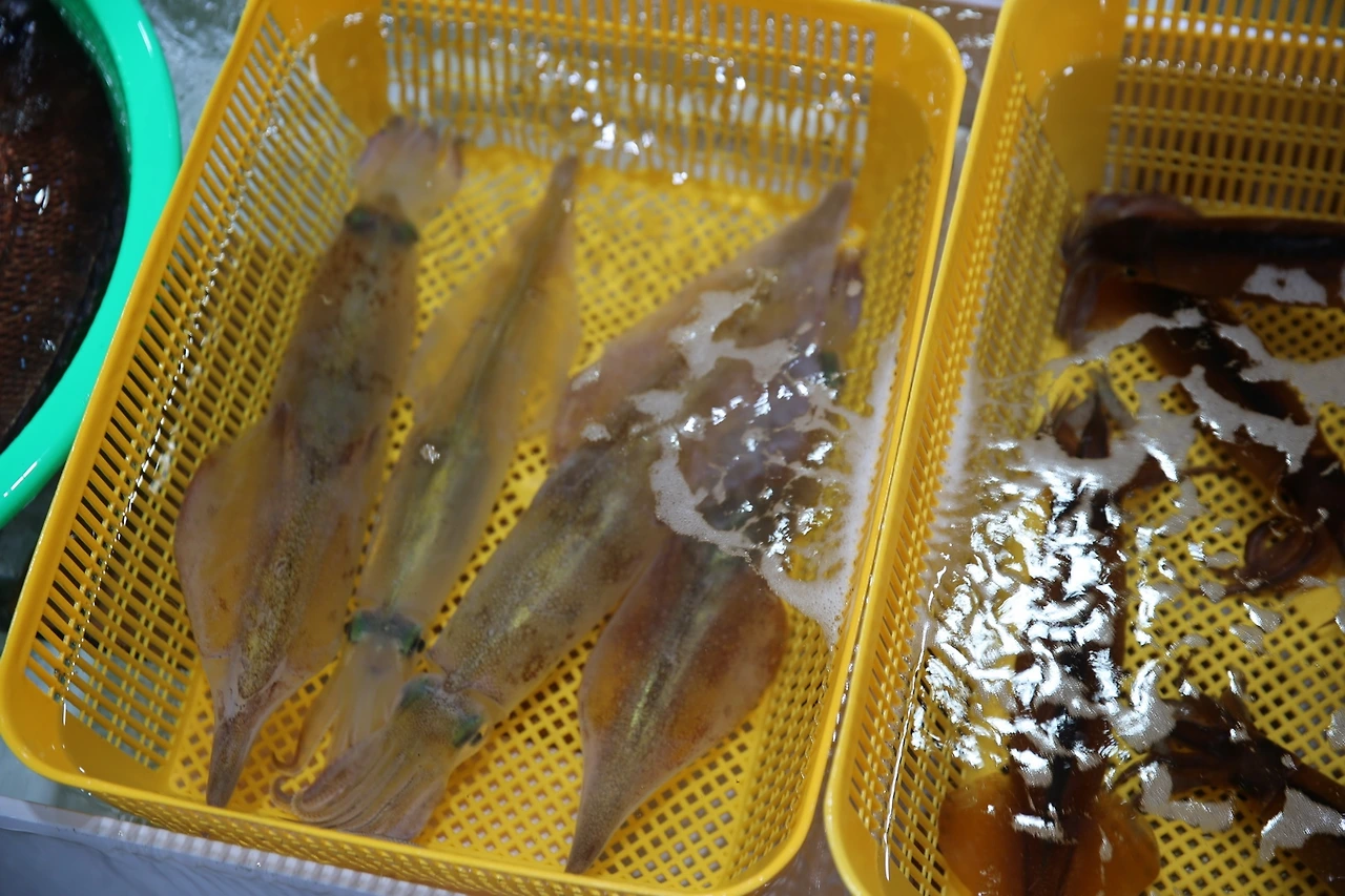 MG0A6744_новый размер.JPG