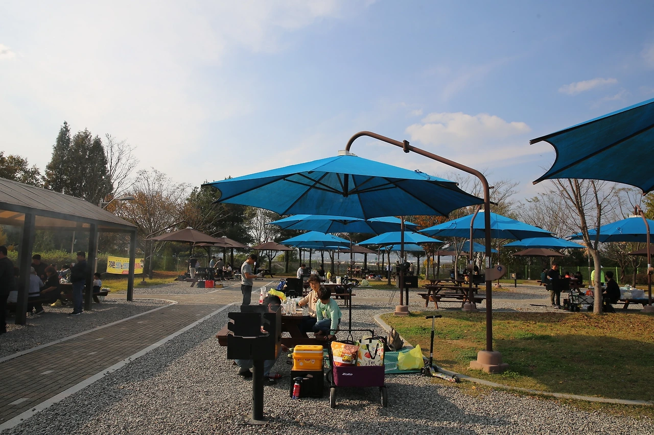 MG0A9669_новый размер.JPG