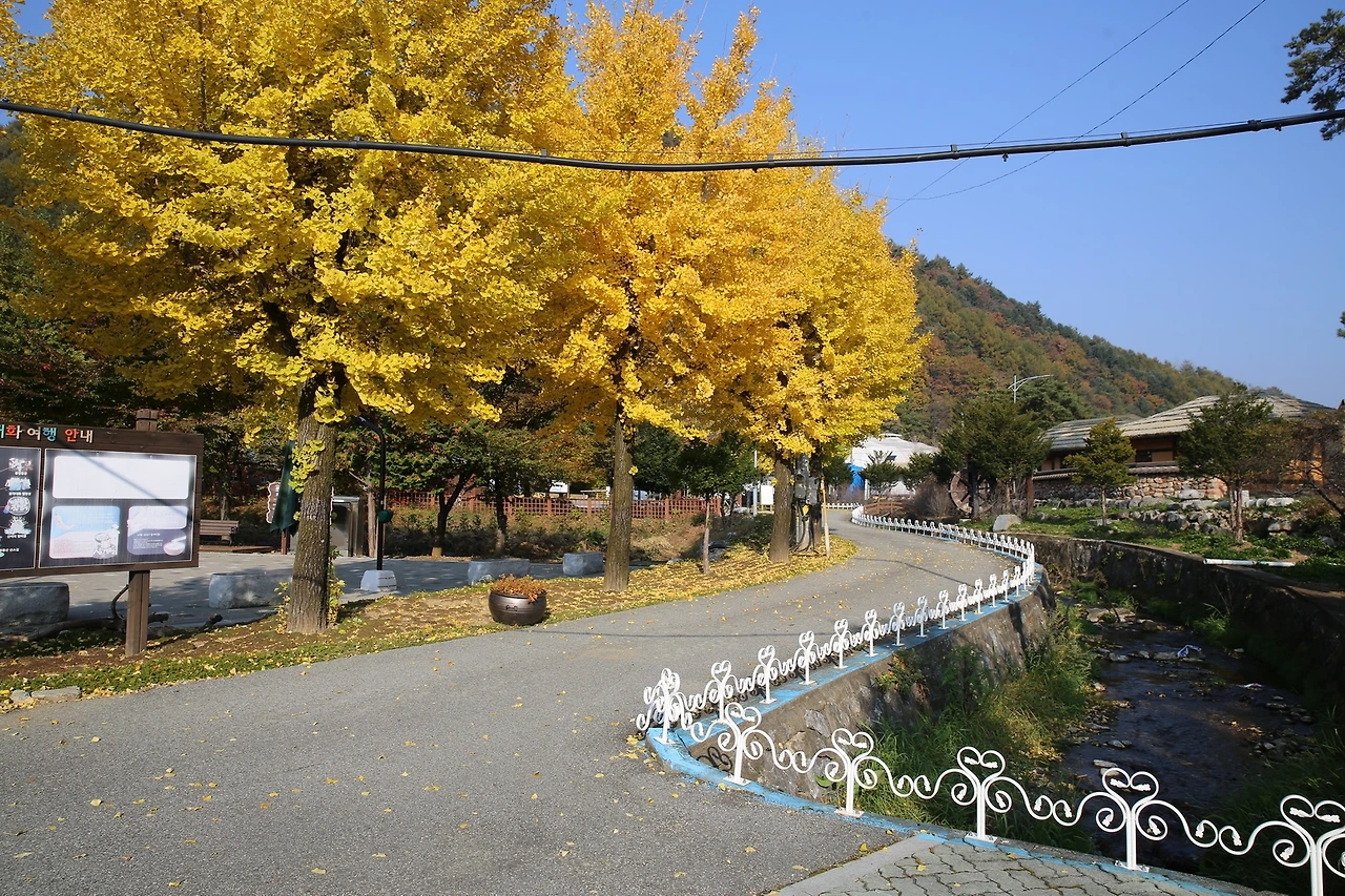 MG0A7898_новый размер.JPG