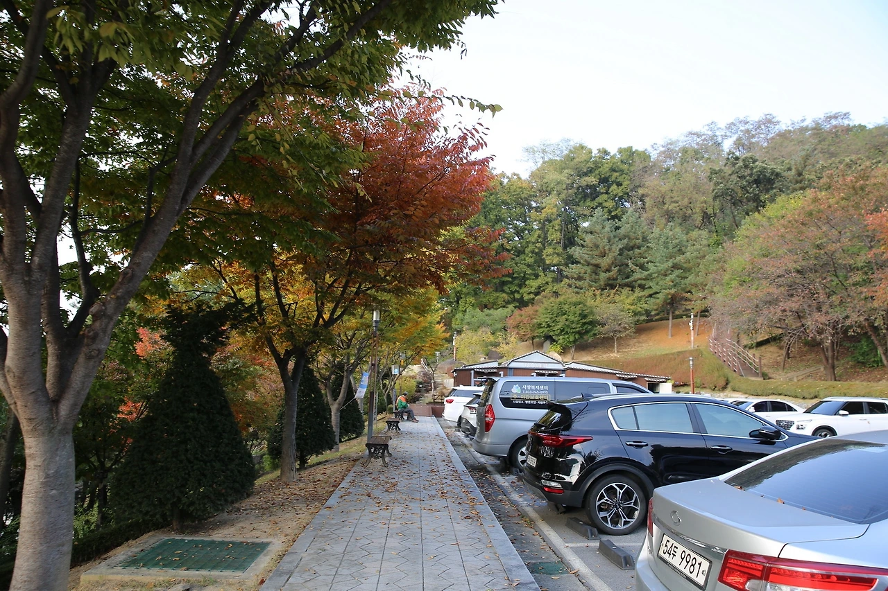 MG0A7630_новый размер.JPG