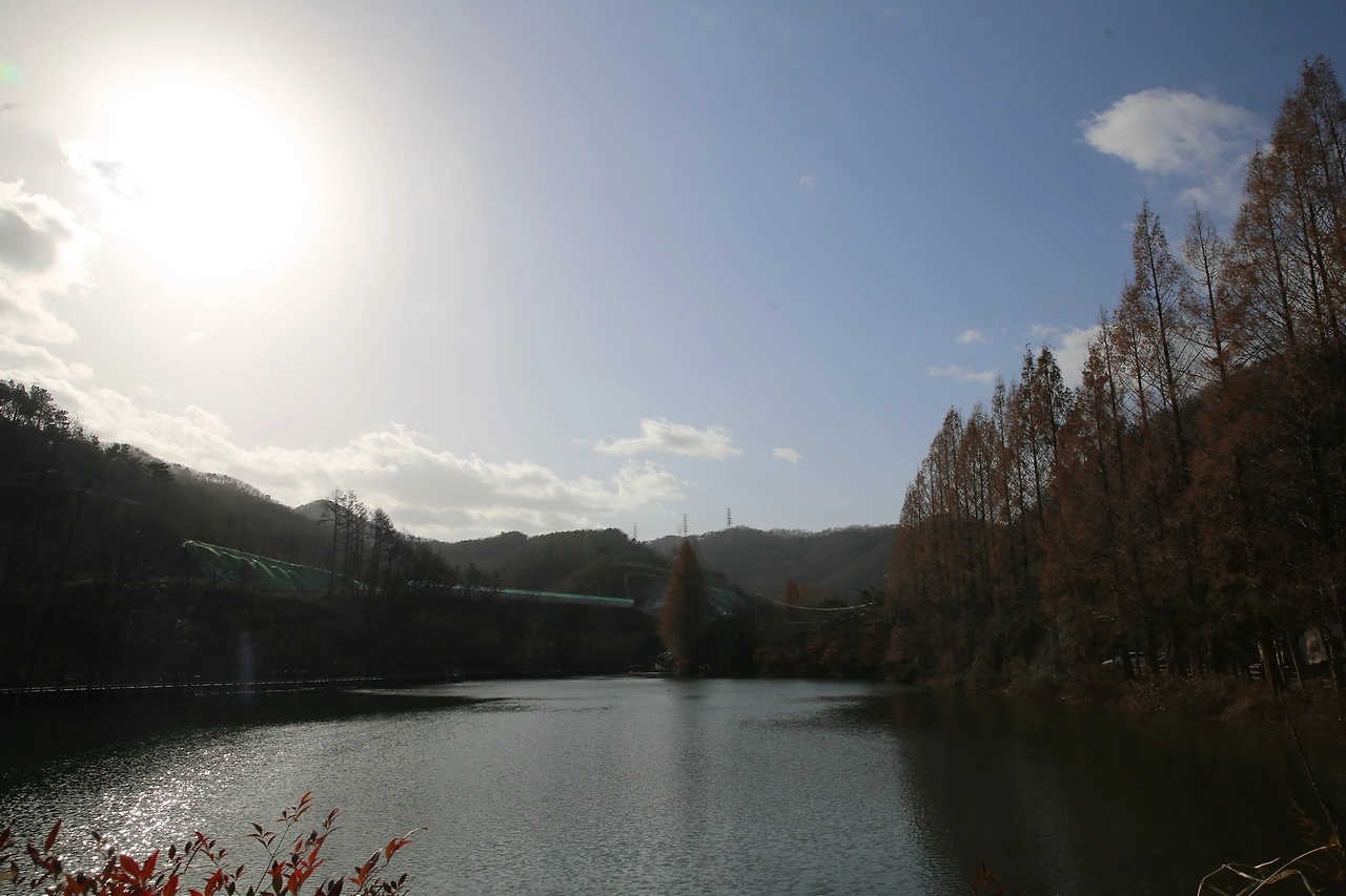 MG0A3665_новый размер.JPG