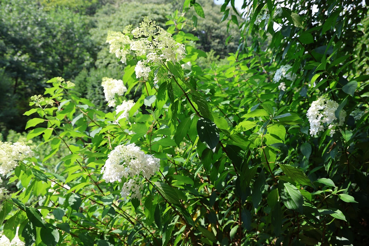 0R5A0382_новый размер.JPG