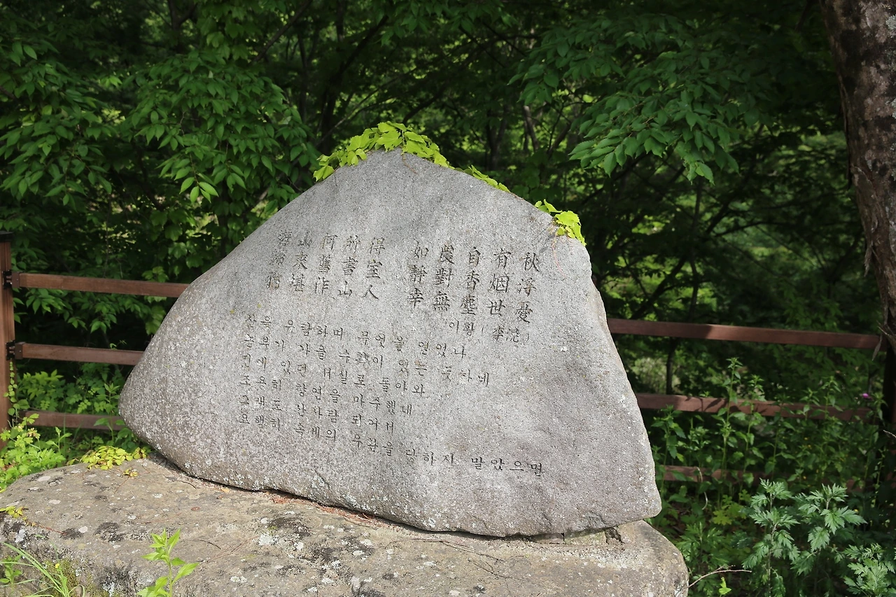 MG0A9878_новый размер.JPG