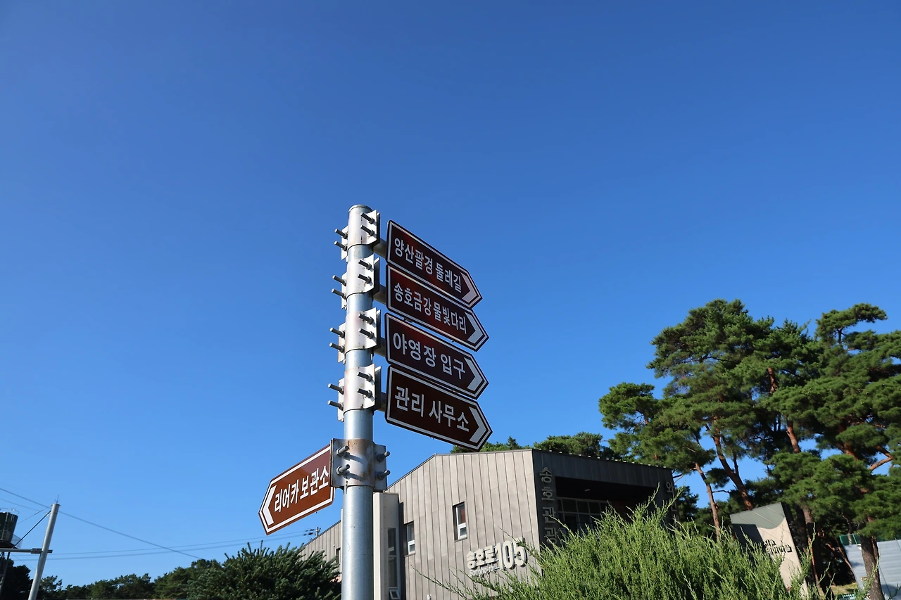 0R5A8084_новый размер.JPG