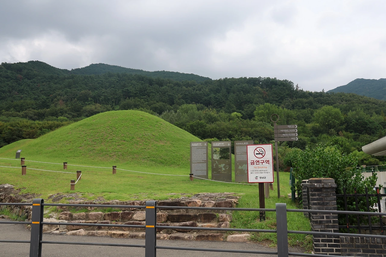 0R5A5177_новый размер.JPG