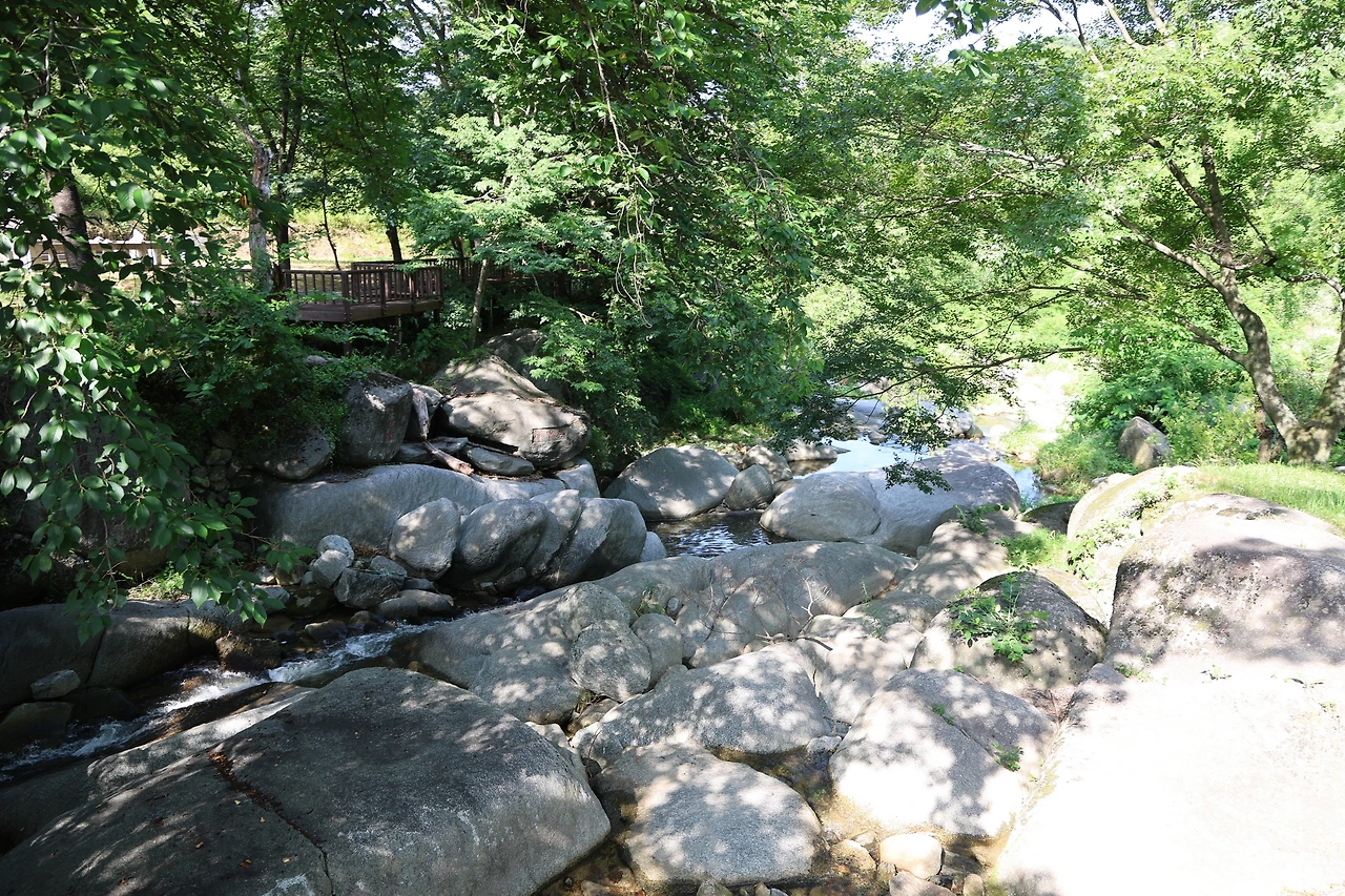 0R5A7916_новый размер.JPG