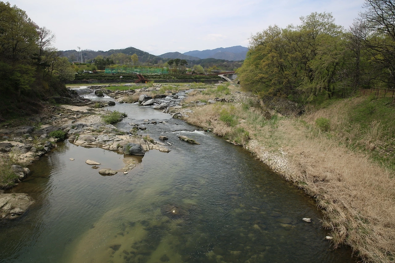 MG0A9127_новый размер.JPG