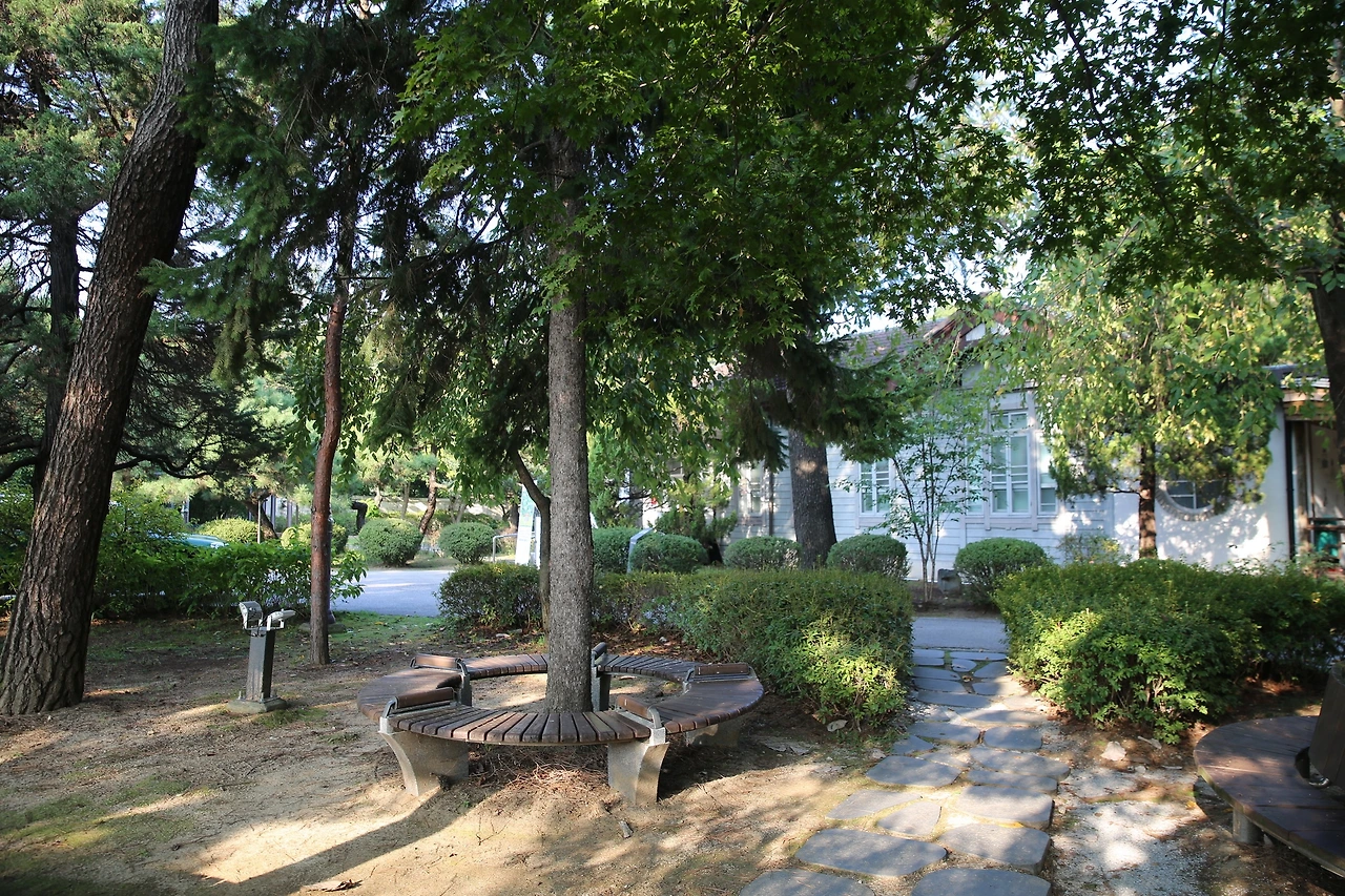 MG0A4590_новый размер.JPG