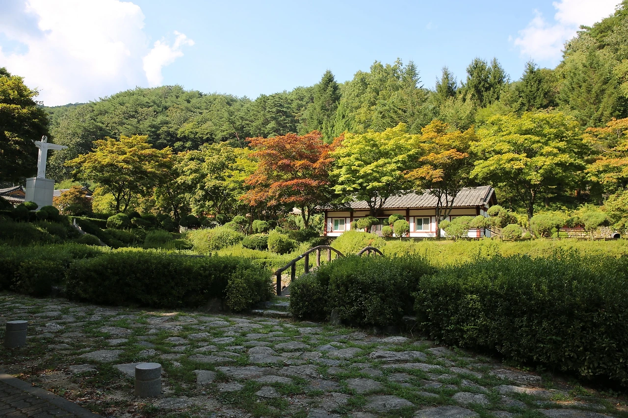 MG0A0512_новый размер.JPG