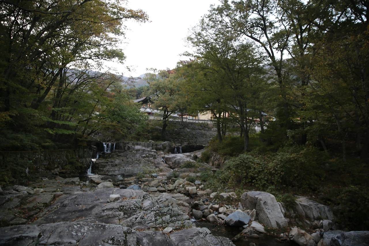 MG0A8386_новый размер.JPG