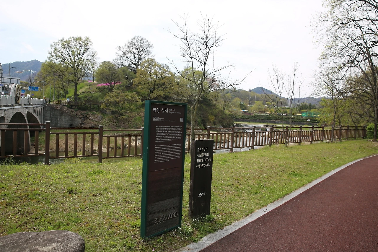 MG0A9135_новый размер.JPG