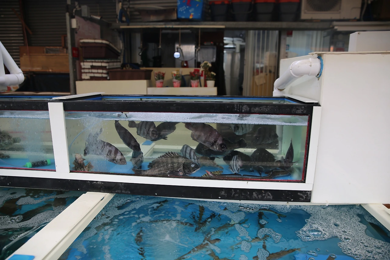 MG0A0384_новый размер.JPG