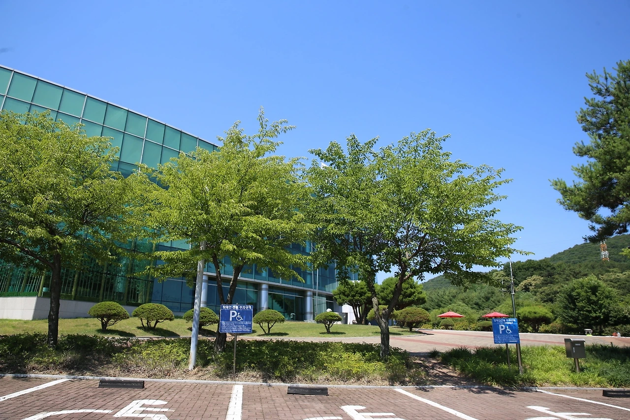 MG0A8856_новый размер.JPG