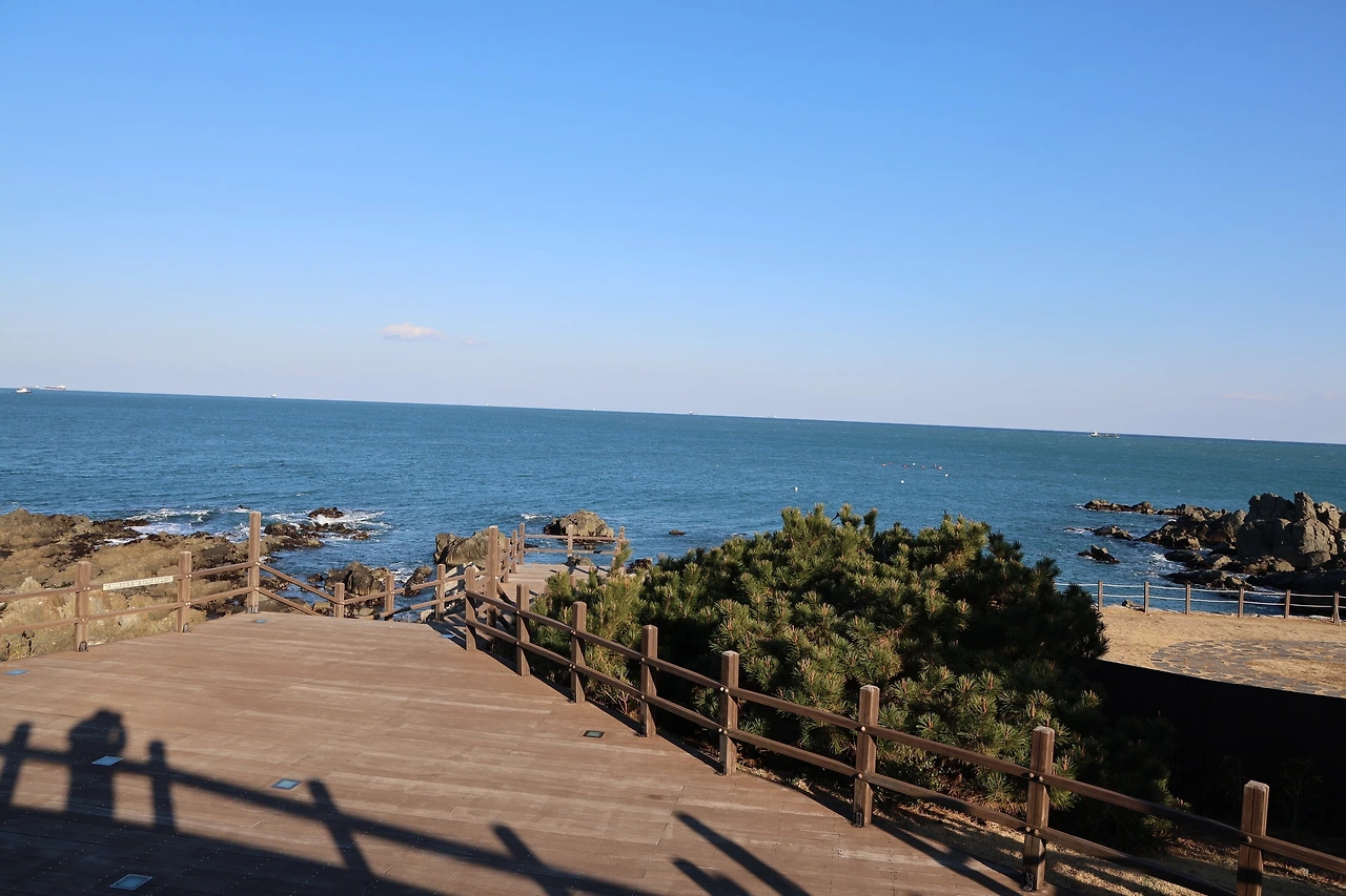 0R5A7944_новый размер.JPG