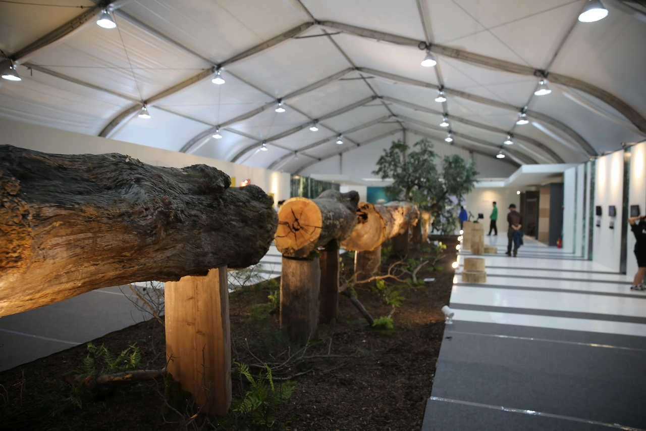 MG0A3642_новый размер.JPG