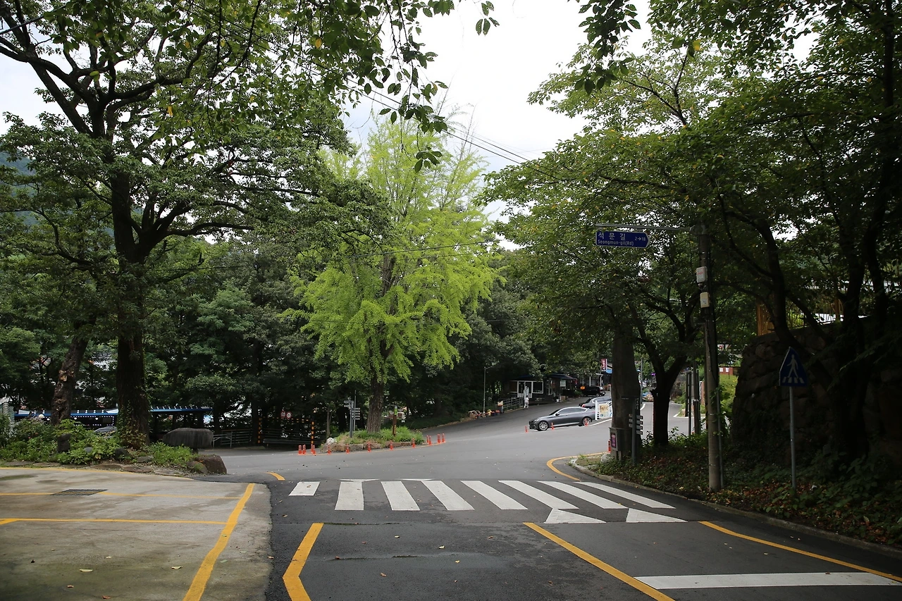 MG0A8347_новый размер.JPG