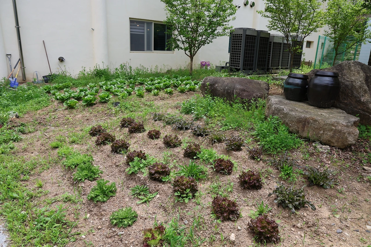 0R5A1437_новый размер.JPG