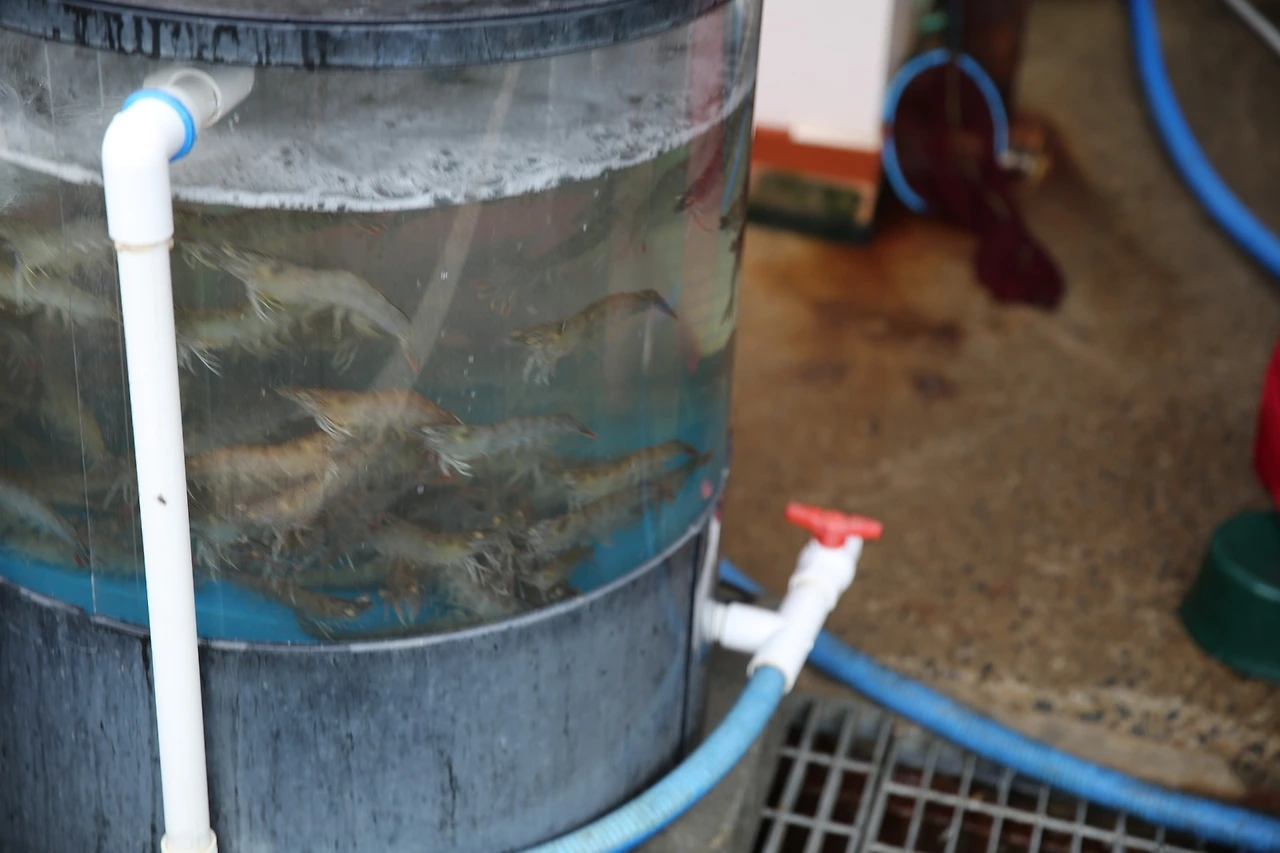 MG0A2527_новый размер.JPG