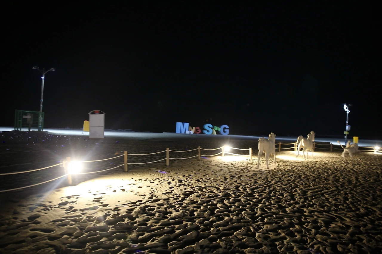 MG0A2368_новый размер.JPG