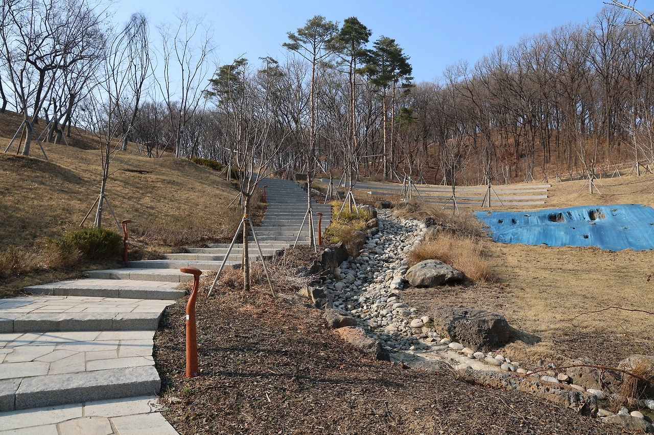 0R5A3764_новый размер.JPG