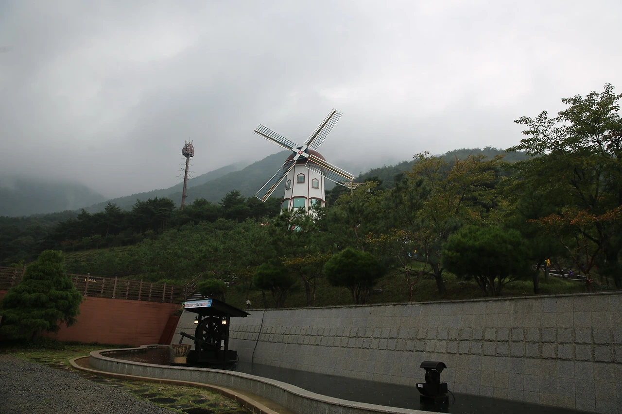 MG0A3086_новый размер.JPG