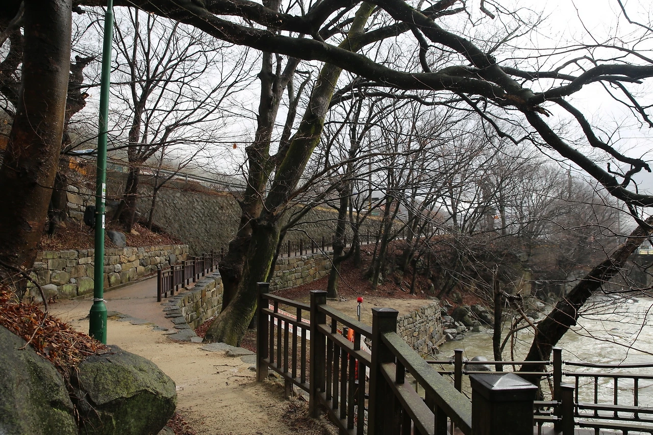 MG0A0285_новый размер.JPG