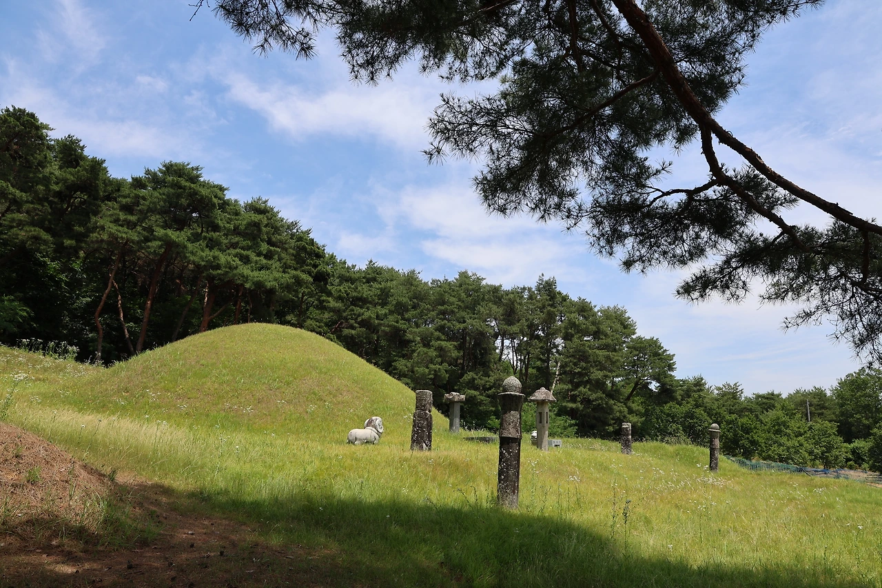 0R5A5176_новый размер.JPG