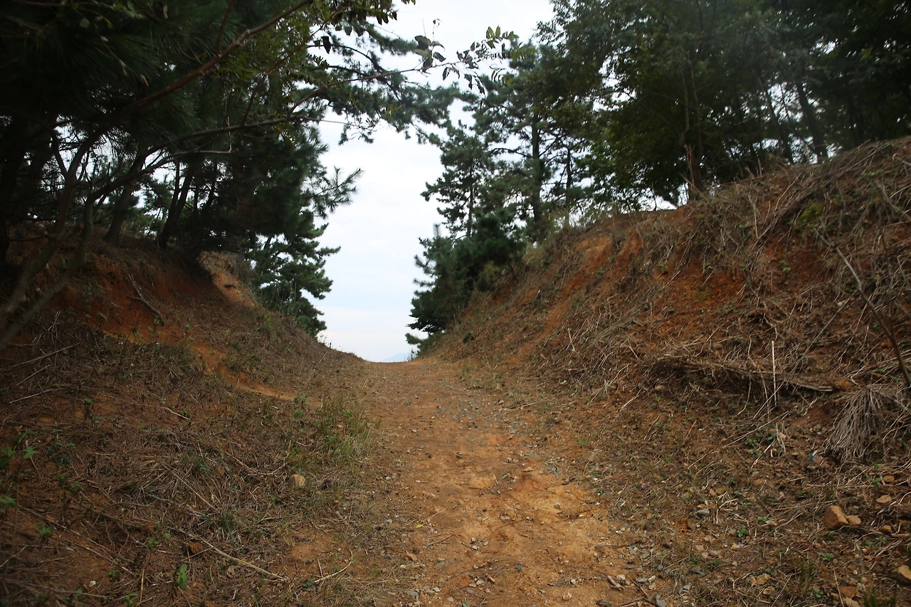 MG0A0551_новый размер.JPG