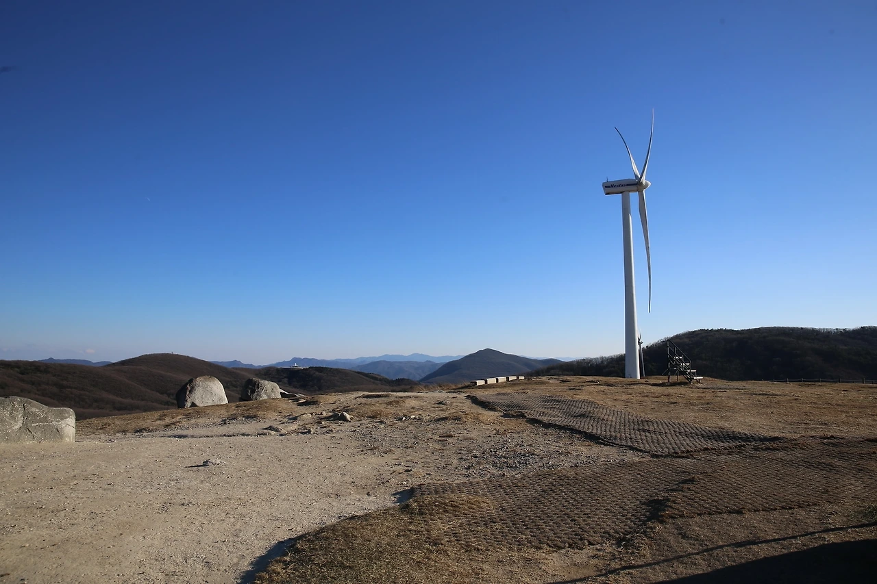 MG0A1728_новый размер.JPG