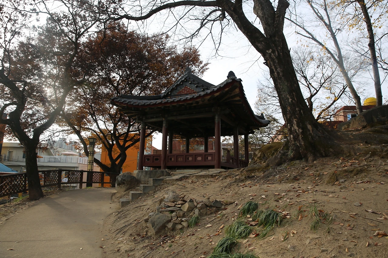 MG0A1752_новый размер.JPG