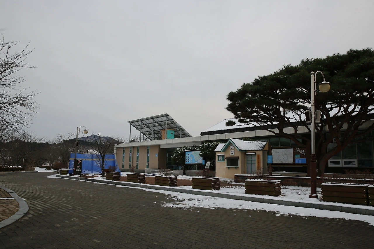 MG0A4230_новый размер.JPG