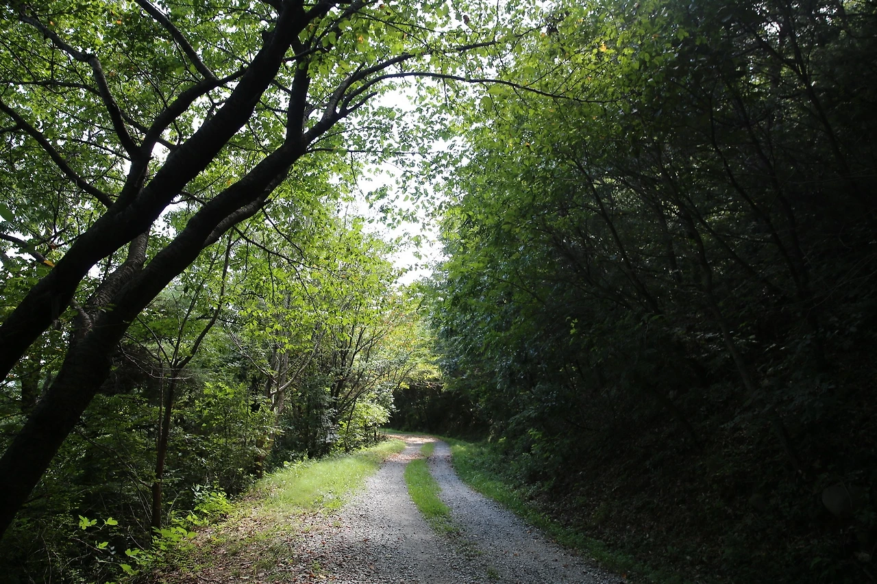 MG0A9255_новый размер.JPG