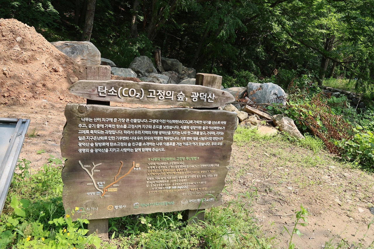 0R5A3215_новый размер.JPG