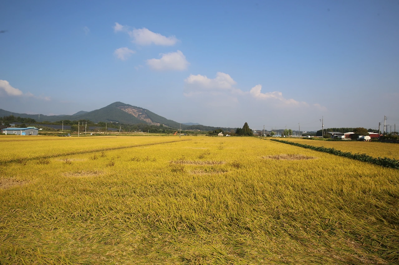 MG0A3658_новый размер.JPG