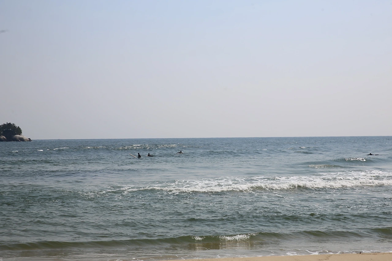 MG0A5181_новый размер.JPG