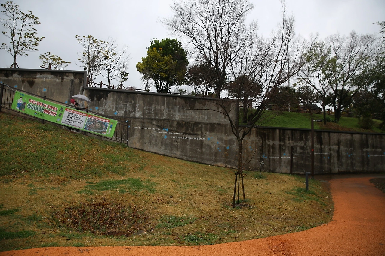 MG0A6489_новый размер.JPG