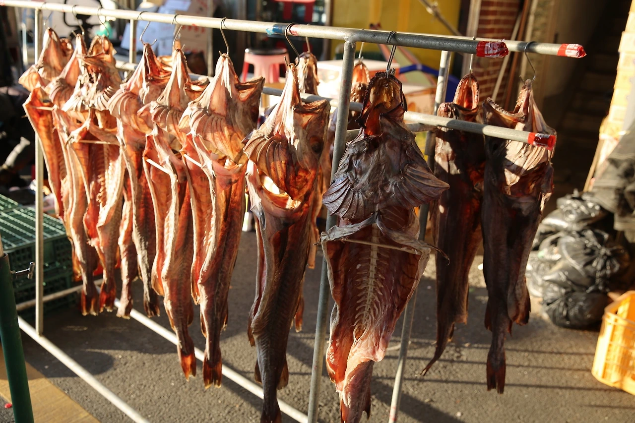 MG0A4500_новый размер.JPG